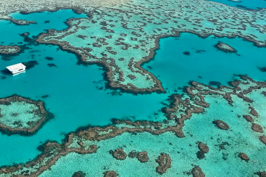 Pontoon near Heart Reef