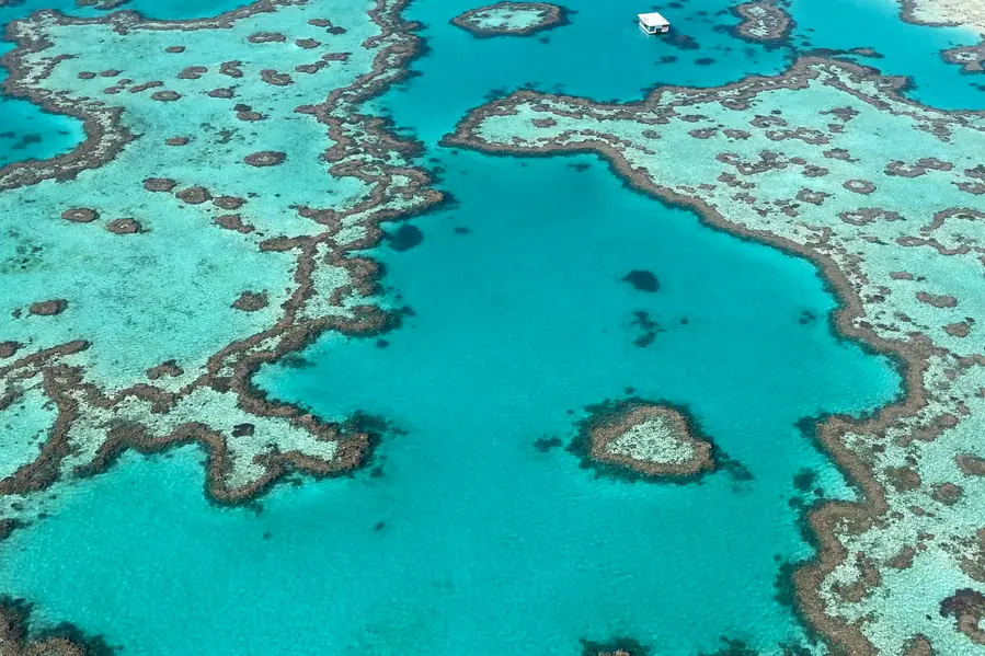 Heart Reef