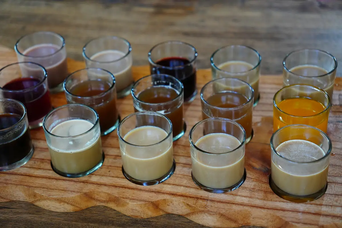 Tea & Coffee Tasting Paddle
