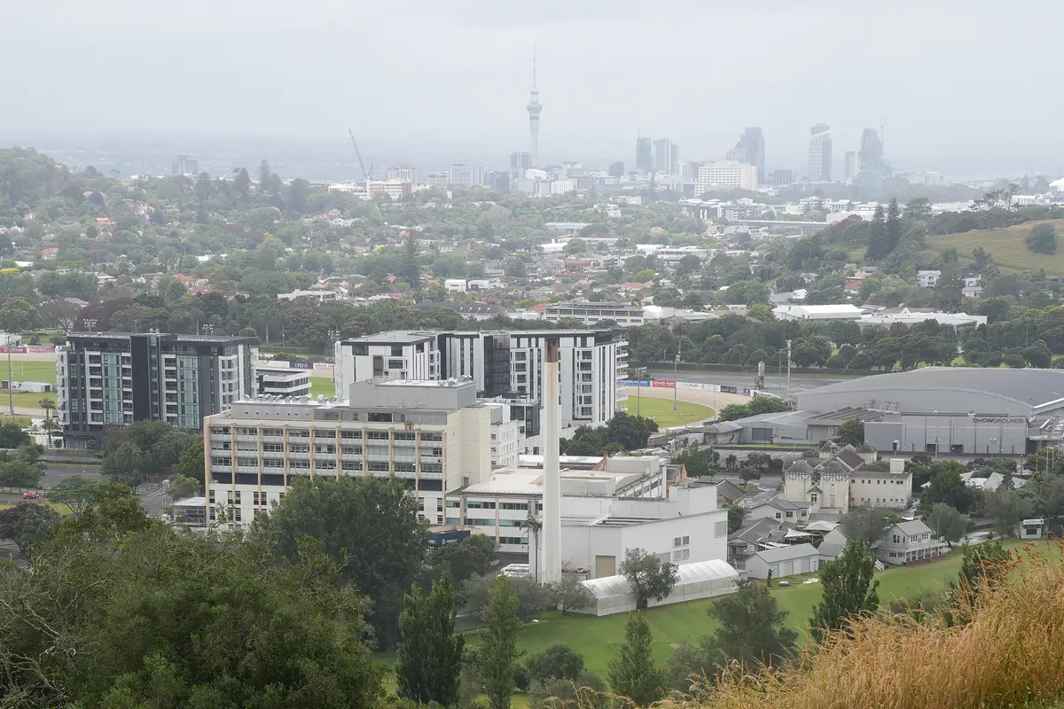 View from One Tree Hill