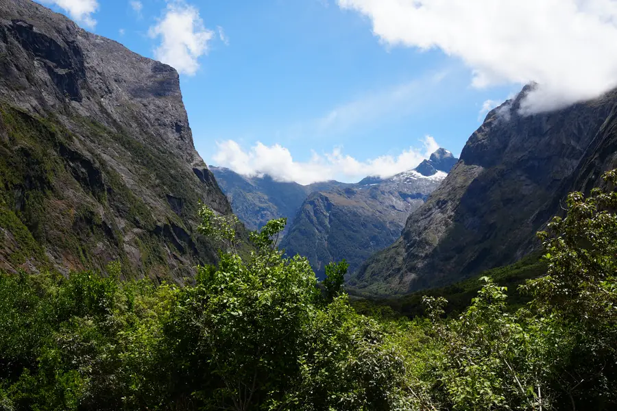 Towards Milford Sound