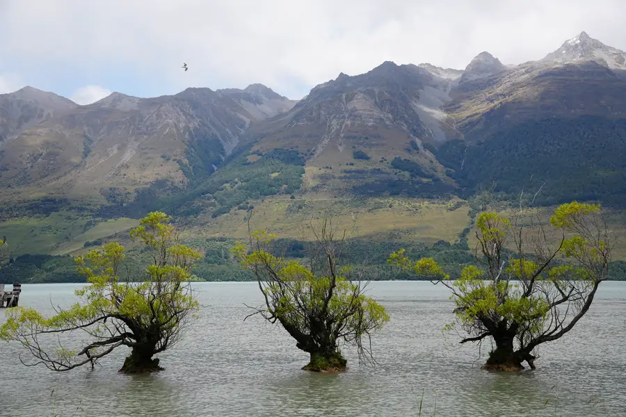 View from Glenorchy Wharf