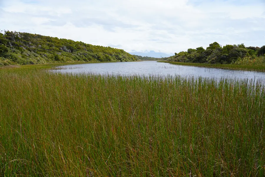 Tauparikaka Marine Reserve