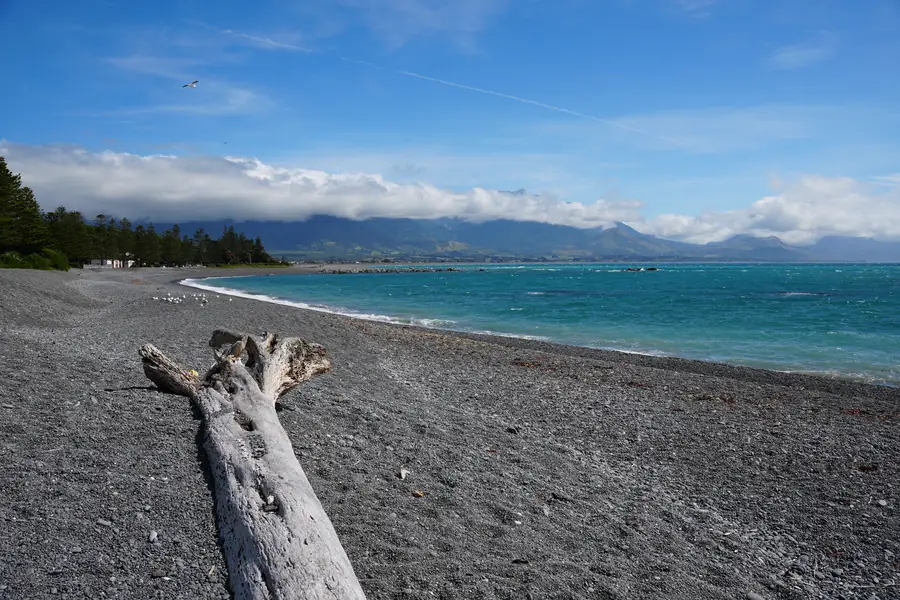 Kaikoura Beach
