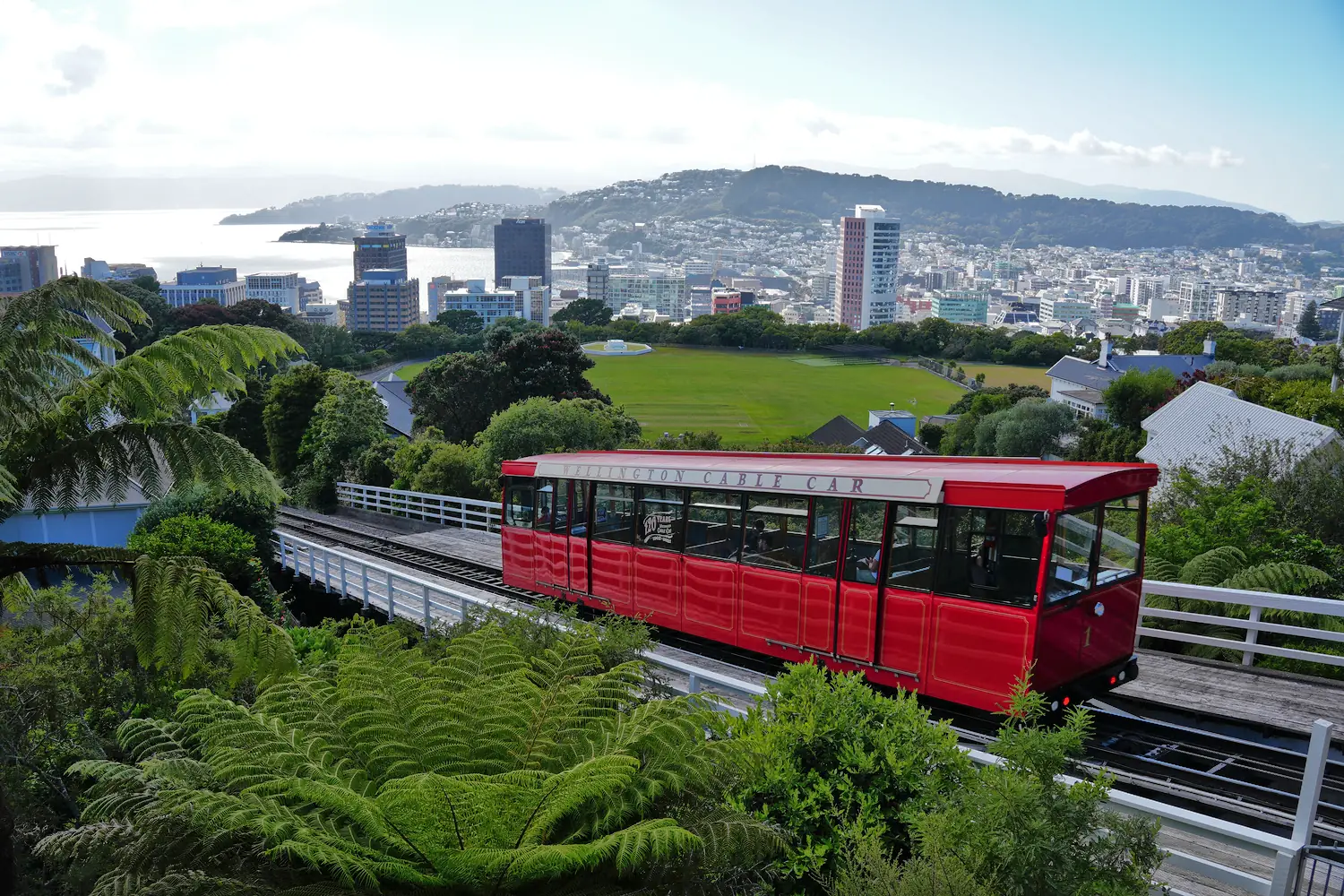 Mount Victoria Lookout Welllington
