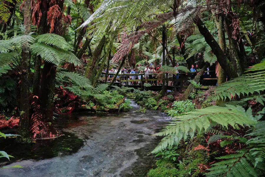 Mitai Maori Village River