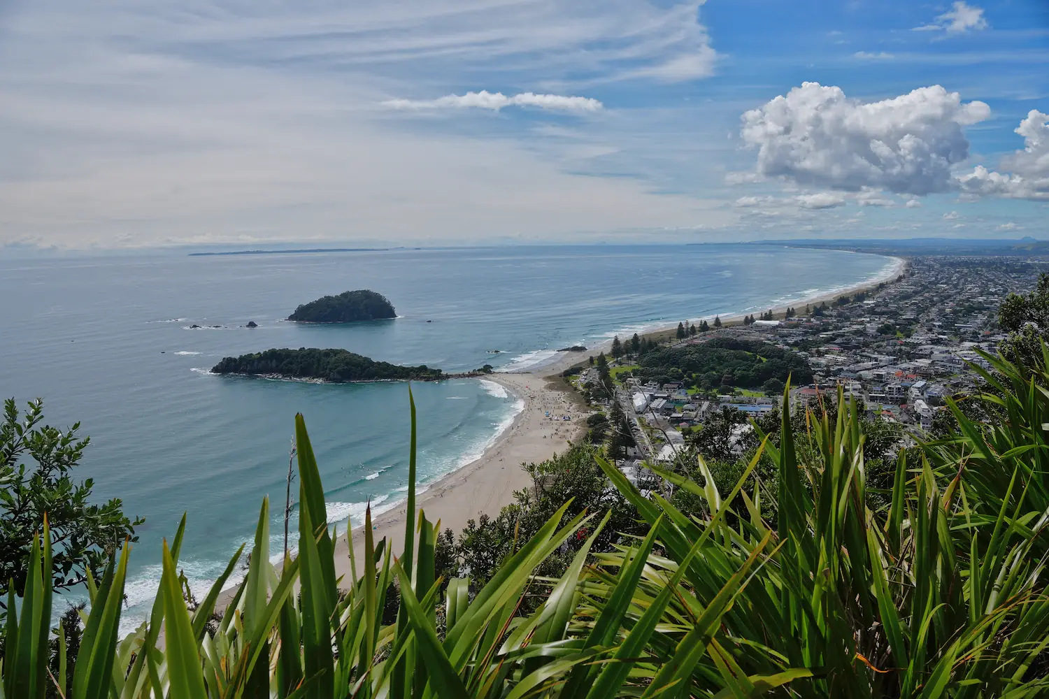 View from Mount Maunganui